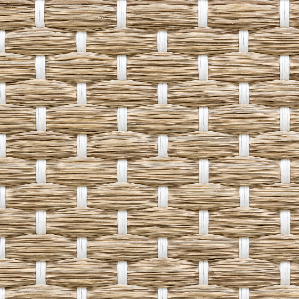 Roller Blind