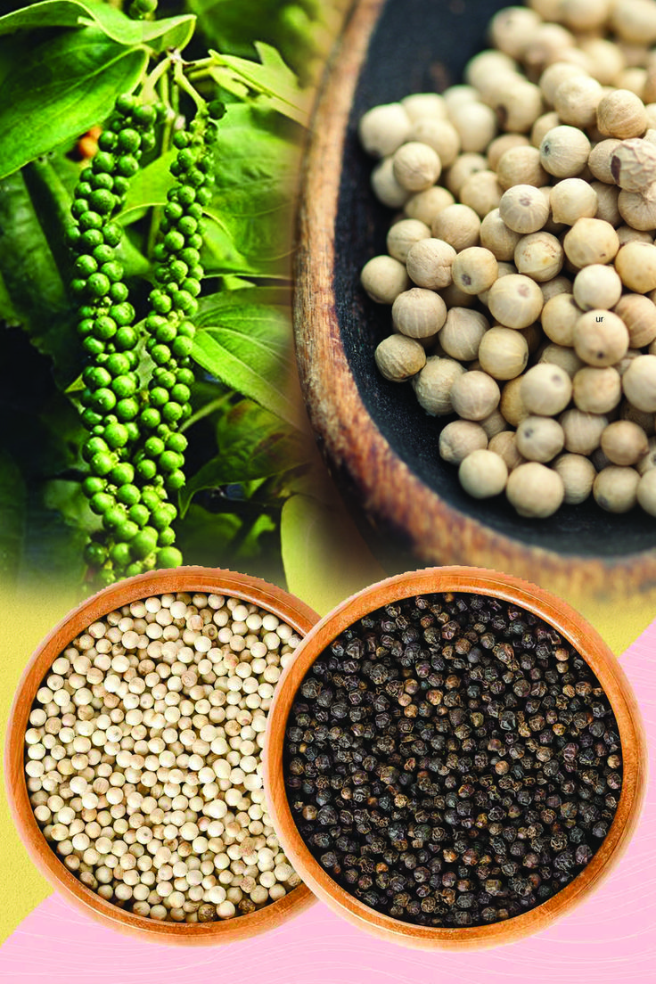 Spices